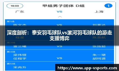 深度剖析：泰安羽毛球队vs漯河羽毛球队的游走支援博弈